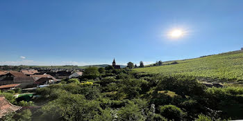 appartement à Barr (67)