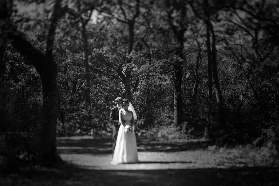 Fotógrafo de bodas Stephen Liberge (stephenl). Foto del 1 de mayo 2015