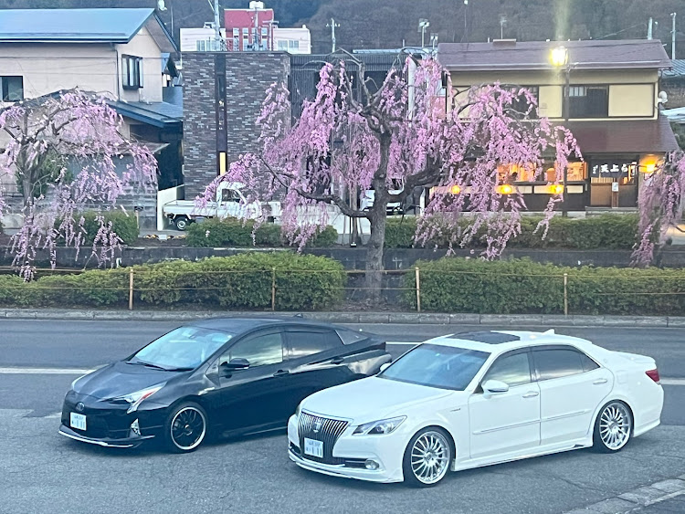 プリウスの#50プリウス・#クラウンマジェスタ・#親子ショット・桜とコラボ・4月もよろしくお願い致します🌸に関するカスタム事例の投稿画像4枚目