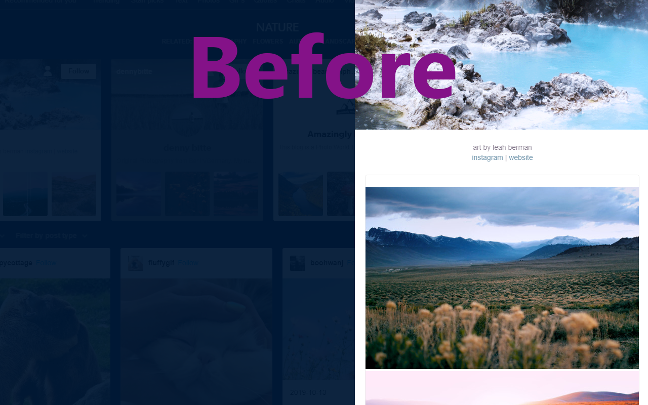 Tumblr™ Wide Blogs Preview image 1