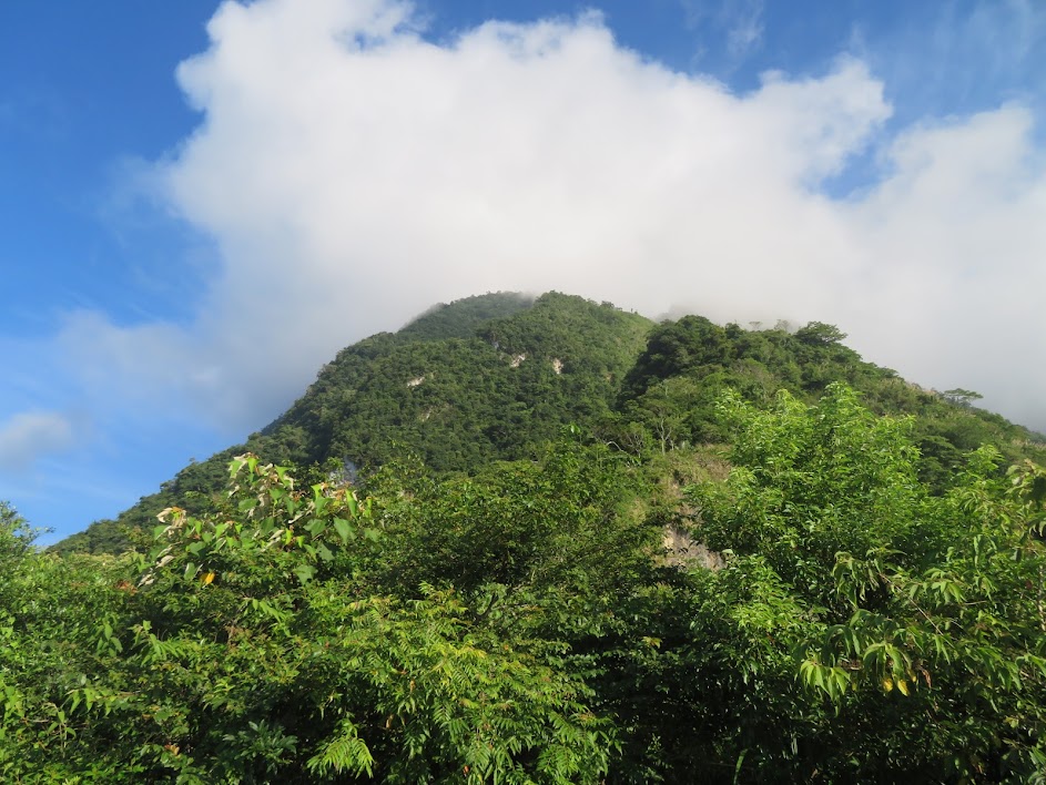 2018_花蓮～佐倉步道 走 沙婆噹山*