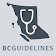 BC Guidelines icon