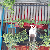 Kd Restaurant, Sector 83, Gurgaon logo