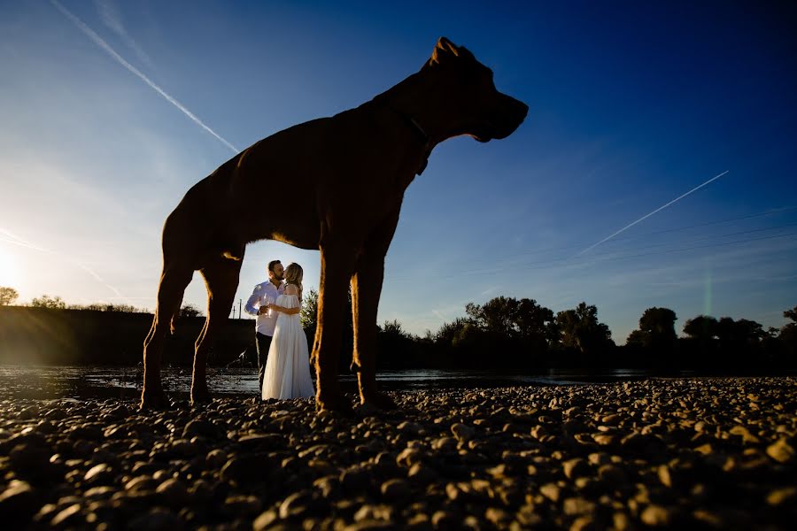 Wedding photographer Sabina Mladin (sabina). Photo of 20 December 2018