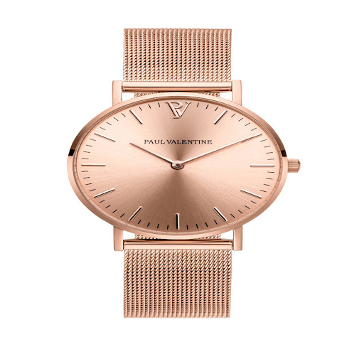 Title 8, Ladies Watch PV Fashion Stainless Steel Band