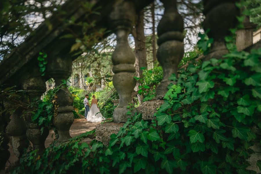 Fotograful de nuntă Dmitriy Palyunin (monitor). Fotografia din 1 noiembrie 2018