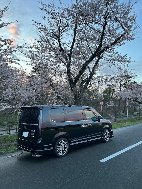 ステップワゴンの桜コラボに関するカスタム事例の投稿画像4枚目
