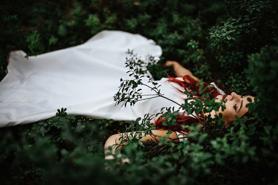 Photographe de mariage Donatas Vaiciulis (vaiciulis). Photo du 26 avril 2017