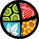 Download Quiz Biologia For PC Windows and Mac