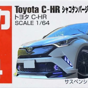 C-HR ZYX10