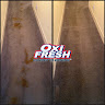 Oxi Fresh Carpet Cleaning