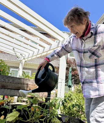 Community news photo