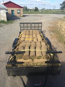 sod installation
