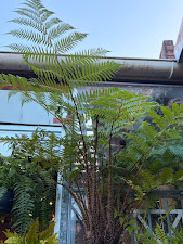 Newtown Garden Market 9