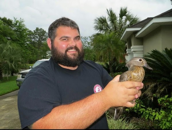 Coastal Chimney Sweeps photo 3