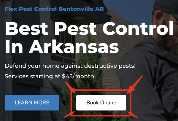 Flex Pest Control photo 1