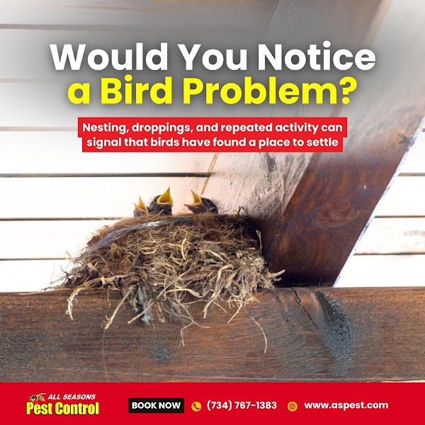 All Seasons Pest Control Inc. photo 1