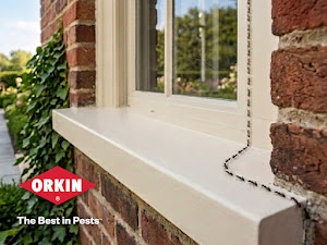 Orkin 8