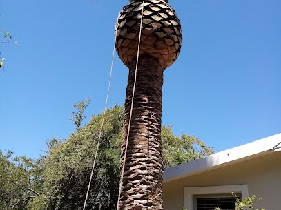 Palm Trimming in progress