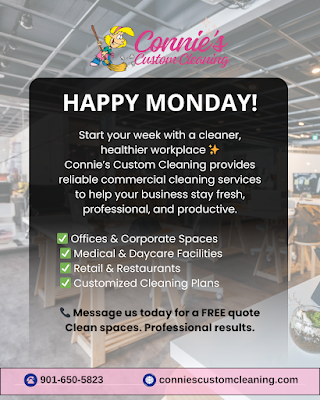 Connie's Custom Cleaning - project photo