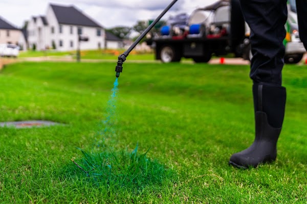 Master Lawn - Huntsville photo 3