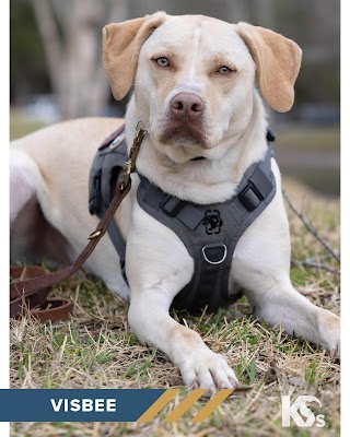 MACH ONE Epoxy Floors of Detroit North - project photo