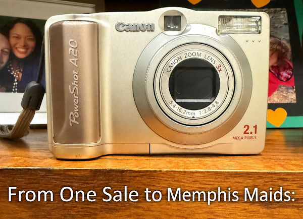 Memphis Maids photo 3