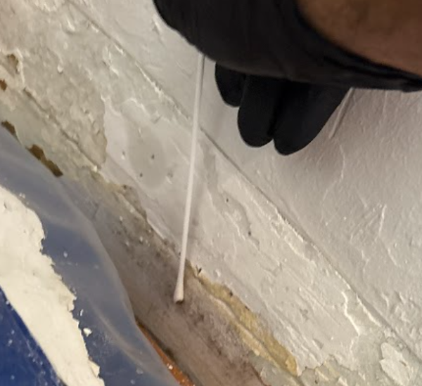 Mold Testers 407 photo 4
