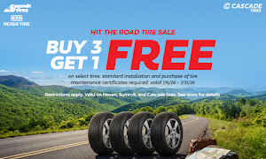 American Tire Depot 10