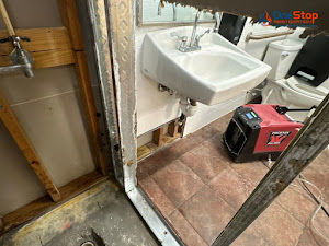 One Stop Restoration Of Fl 2