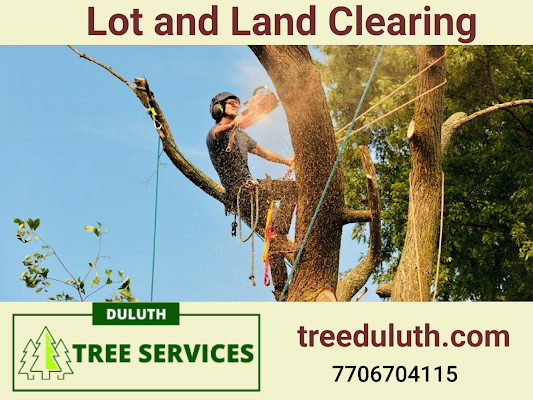 Tree Service Duluth