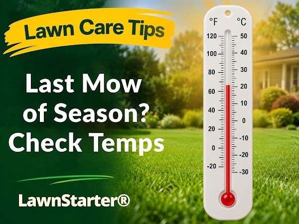 LawnStarter photo 1