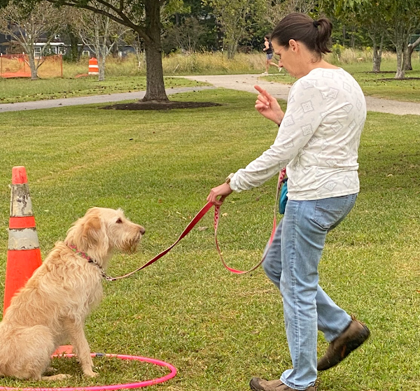 Simply Human Dog Training photo 1