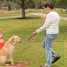 Simply Human Dog Training