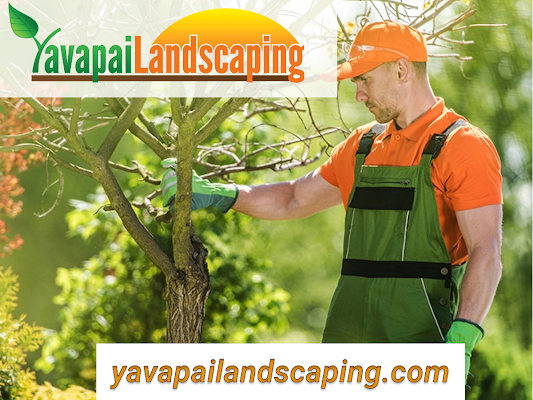 Landscaping Company Prescott