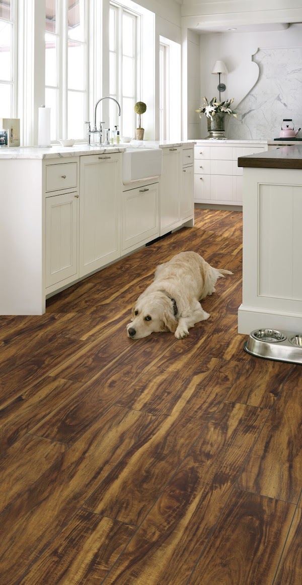 Floor Coverings International FRISCO photo 1