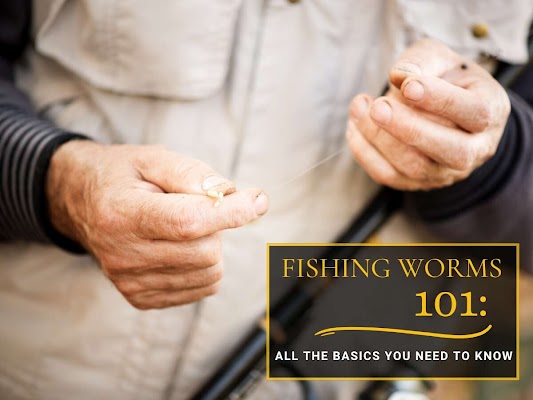 fishing worms