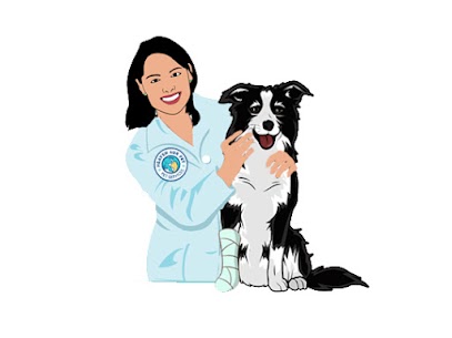 What is the Lifestyle in the City of York PA?