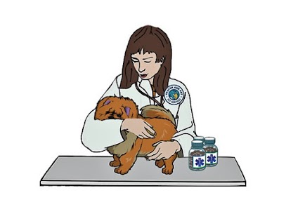 Spay and neutering pets