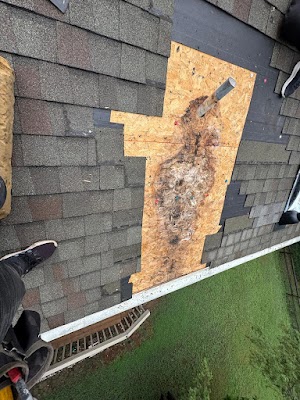 Storm-related roofing work shared in a recent public business post