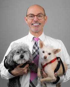 veterinarian in Tampa, FL