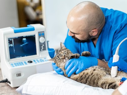 animal diagnostic lab