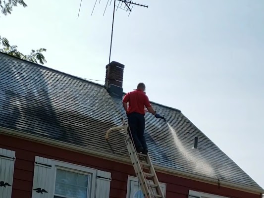 Roof Cleaning