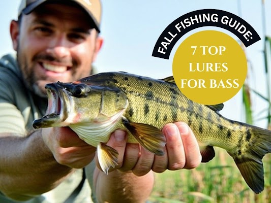 fall fishing bass lure