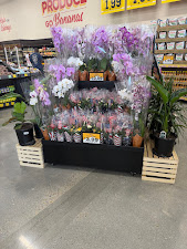 Grocery Outlet 10