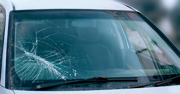 Lucky Dog Auto Glass LLC photo 1