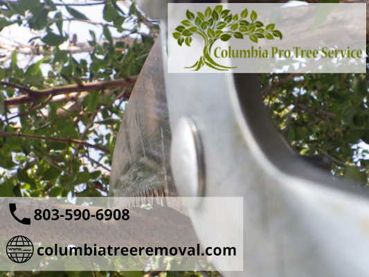 Tree Services Columbia SC