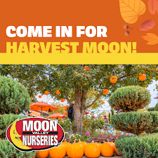 Moon Valley Nurseries 2