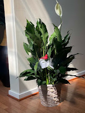 Chapel Flowers 3