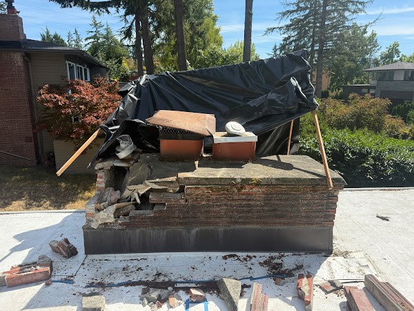Chimney Pro Solutions photo 1